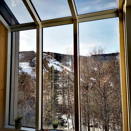 Condo Sur 2 Niveaux Avec Magnifique Vue Sur La Montagne Stoneham Buitenkant foto